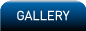 Radio Fire Alarms Gallery
