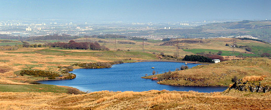 Bird Watching in Ayrshire